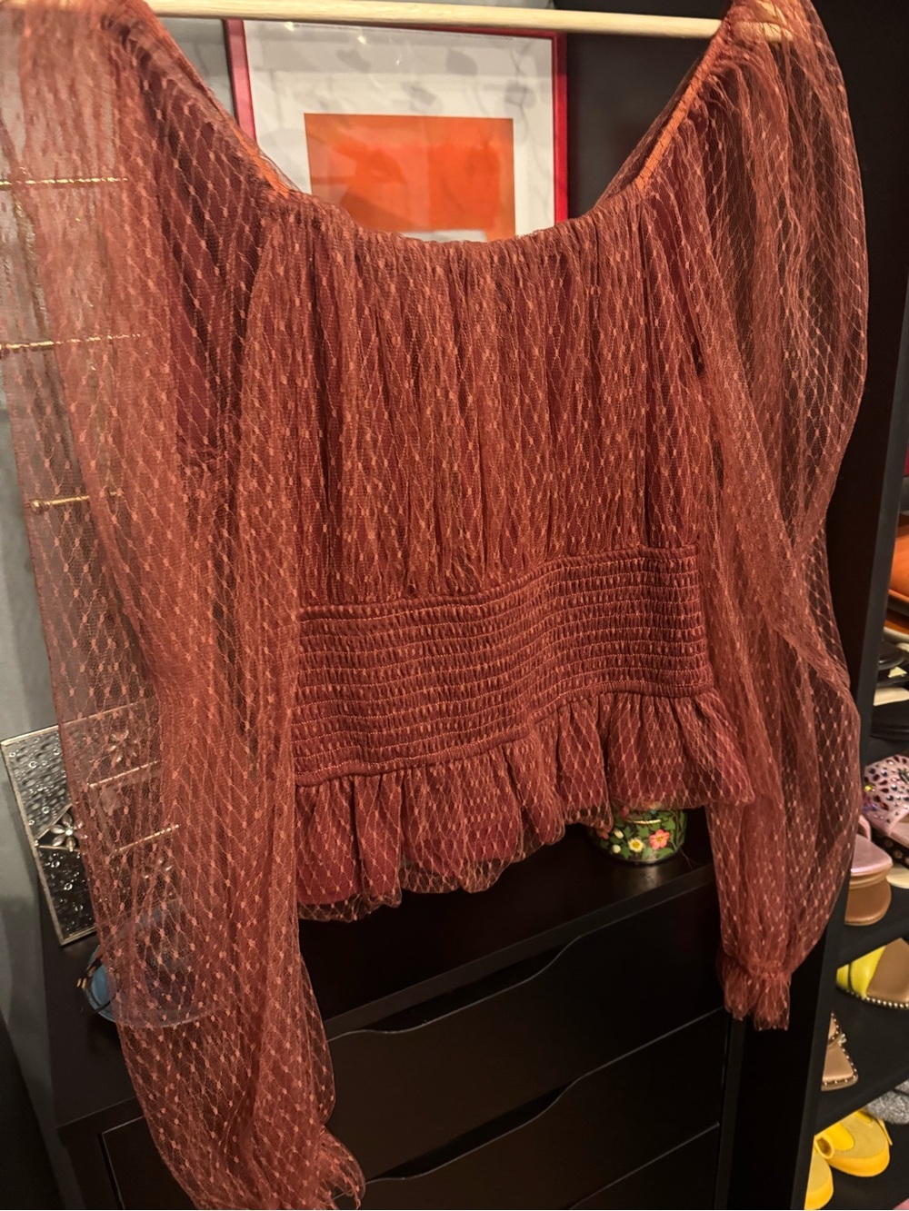 Anthropologie Burnt Sienna Sheer V-Neck Romantic Puff Sleeve Blouse π₯π€ - Picture 7 of 7